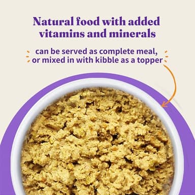 Halo Holistic Vegan Wet Dog Food, Plant-Based Recipe, Canned Dog Food, Complete Digestive Health, Adult Dogs, 5.5 Oz Can (Pack of 12) - Image 4