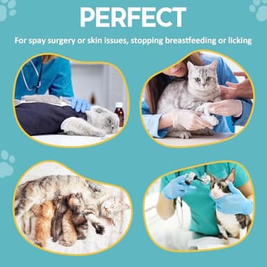 Avont Cat Recovery Suit - Post-Surgery Onesie for Cats, Alternative to Cone of Shame, Protective Spay Suit for Female Kitten, Ideal for Healing and Skin Conditions -Purple(S) - Image 2
