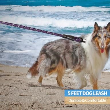 BAAPET 2/4/5/6 FT Dog Leash with Comfortable Padded Handle and Highly Reflective Threads for Small Medium and Large Dogs (5FT-1/2'', Black Purple) - Image 5