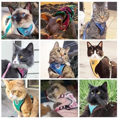PUPTECK Cat Harness and Leash Set Escape Proof Reflective Cat Walking Harness Adjustable Soft Breathable Mesh Vest for Small Pets, Yellow, M - Image 7