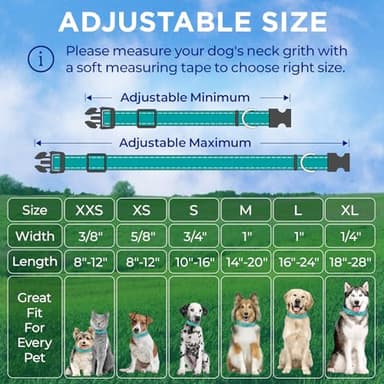 TECEUM Reflective Dog Collar – Teal – M – Extra Soft Padding – Basic Nylon Pet Collar – Quick Release Buckle – Fits Small, Medium and Large Dogs, Puppies, Cats – ESA & Service Dog Options - Image 7