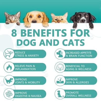 (2 Pack) Max Potency Hemp Oil for Dogs & Cats - Help Anxiety Stress Pain Inflammation Arthritis Aggressive Relax Sleep Allergies Seizures Relief - Treats Chews Joint & Hip - Organic Pet Calming Drops - Image 2