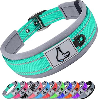 Joytale Dog Collar for Small Dogs, Neoprene Padded and Adjustable, Reflective Wide Heavy Duty Pet Collars with Durable Metal Belt Buckle for Walking, Teal, S - Image 1