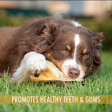 Wild Eats Water Buffalo All Natural Ear Dog Chews, Dog Treats & Snacks - 20 Piece Value Pack (Grain Free Treats - Great Alternative to Pig Ears, Cow Ears, Bones & Rawhides) - Image 7