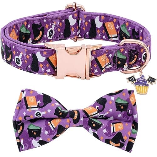 Faygarsle Stylish Bow Tie Collar for Small to Large Dogs - Cotton with Metal Buckle - Purple - Male or Female - Halloween & Fall - Image 1