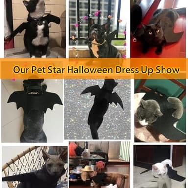 Halloween Dog Cat Bat Wings Costume, Halloween Cute Apparel Cosplay Party Decoration, Dress-Up, Pumpkin Head Jumping Popper Bouncing Toy and Pumpkin Bells Combo for Cat Dogs Puppy Kitty, Black - Image 6