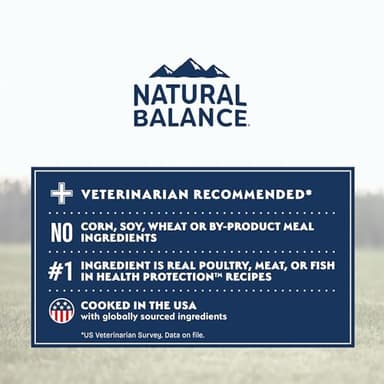Natural Balance Health Protection Dry Dog Food – Whole Body Health, Easy on Digestion Dog Food Made with Salmon, Brown Rice & Pumpkin for Dogs - 4lbs. - Image 7