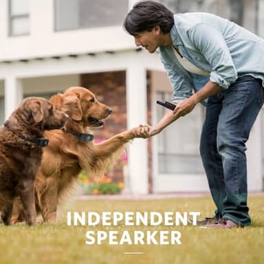 Dog Training Collar - Rechargeable Dog Shock Collar with Beep, Vibration and Shock Training Modes, Rainproof, Long Remote Range, Adjustable Shock Levels Shock Collars for Dogs with Remote - Image 7