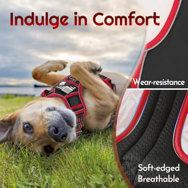 Eagloo Dog Harness for Large Dogs, Easy Wearing with 3 Buckles, Adjustable No Pull Pet Harness with 2 Rings for Walking, No Chock Reflective Soft Padded Vest with Control Handle, Black & Red, L - Image 5