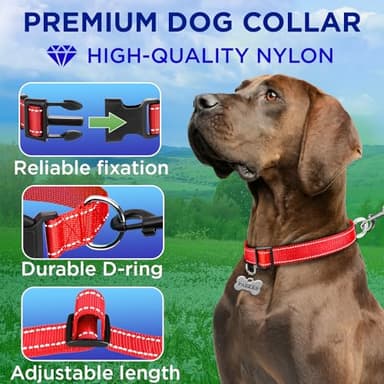 TECEUM Reflective Dog Collar – Red – L – Basic Nylon Pet Collar – Quick Release Buckle – Fits Small, Medium and Large Dogs, Puppies, Cats – ESA & Service Dog Options - Image 2