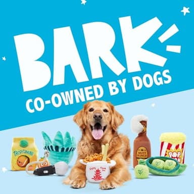 Barkbox 2 in 1 Interactive Plush Dog Toy - Rip and Reveal Toy for Dogs and Puppies - Stimulating Squeaky Pet Toys | Consuela Cactus (Small) - Image 8
