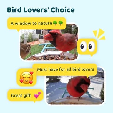 NETVUE by Birdfy Smart Bird Feeder with Camera – AI Identifies Birds Species 2MP Night Vision & App Alerts, 2.4Ghz Wi-Fi Connect IP65 Weatherproof Bird Camera-Gift for Backyard BirdWatchers, Blue - Image 9