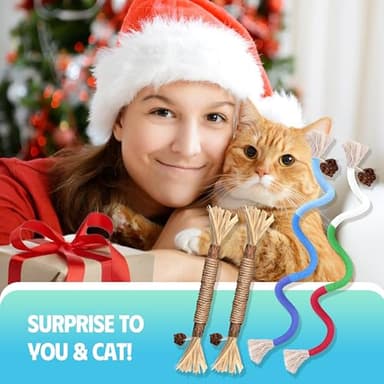GBSYU Cat Toys Chew Rope & Silvervine Sticks for Bored Indoor Adult Cats, 2Pcs Interactive Catnip Toys for Cats with Refillable Natural Catnip Bag for Teeth Cleaning - Image 7