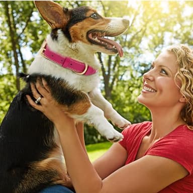 HSIGIO Leather Dog Collar for Small Medium and Large Dogs, Soft Padded Dog Leather Collar with Gold Buckle, Adjustable Genuine Leather Collars for Small Dogs(Hotpink, S) - Image 2