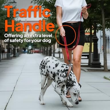 TwoEar 6FT 1IN Strong Blue Dog Leash with 2 Padded Handles, Traffic Handle Extra Control, Comfortable Soft Dual Handle, Auto Lock Hook, Reflective Walking Lead for Small Medium and Large Dogs - Image 6