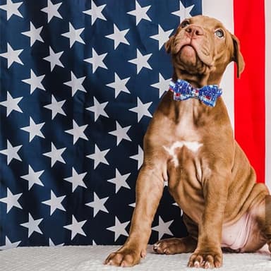 Elegant little tail Independence Dog Collar, Holiday Pet Collar with Bow Dog Durable Patriotic Dog Collars Pet Gift Adjustable Dog Collar for Large Dogs - Image 6