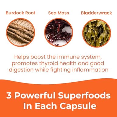 INFINITE AGE 1250mg Sea Moss Advanced Superfood Capsules, 60 Count - High-Potency, Vegan, Made in The USA - Irish Seamoss, Bladderwrack, Burdock Root - Overall Health, Immunity Support - Image 6