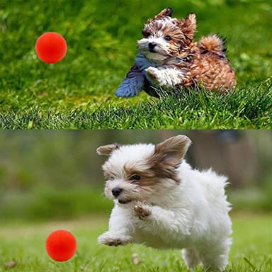 Volacopets Puppy Balls - Pack with Different Functions & Teething Toys for Small Dogs, Squeaky Dog Balls, Rubber Chew Toys for Enrichment - Image 7