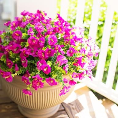 HyeFlora Artificial Flowers for Outdoors Fake Plants, 12 Bundles Faux Fuchsia Morning Glory UV Resistant Look Real Silk Flowers for Outside Planter Front Door Porch Patio Yard Fall Autumn Decoration - Image 3