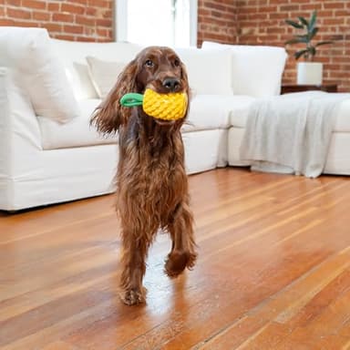 Outward Hound by Planet Dog Dental Pineapple Dental Chew Toy and Interactive Treat Stuffer Durable Dog Toy Stuffable Dog Toy, Yellow - Image 8