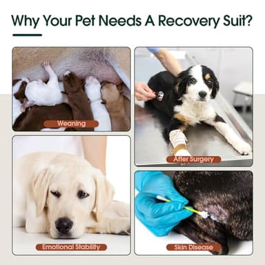 Kuoser Dog Surgery Suit Female Spay, Dog Recovery Suit Male Neuter, Puppy Clothes Onesie for Surgery Anti Licking Abdominal Wounds Pet Surgical Recovery Bodysuit Shirt, Substitute E-Collar & Cone - Image 6