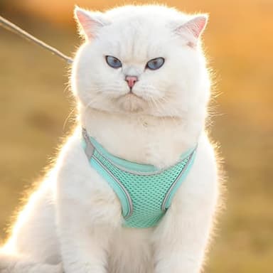 HIPVMES Cat Harness and Leash Set Soft Adjustable Escape Proof Cat Leash Breathable Comfortable Vest Easy to Wear Kitten/Small Dogs Harness for Outdoor Walking Green XXS - Image 5