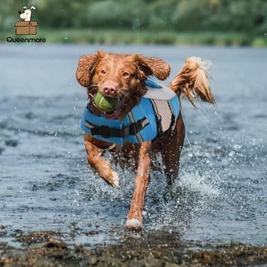 Queenmore Dog Life Jacket Vest for Swimming Boating Kayaking, Small Medium Doggie Puppy Life Preserver Lifesaver Pet PFD Lifejacket Safety Water Vest Pool Floatie (New Blue,M) - Image 5