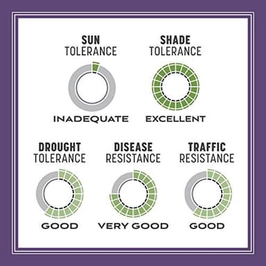 Pennington Smart Seed Dense Shade Grass Mix Bag 7 lb - Image 9