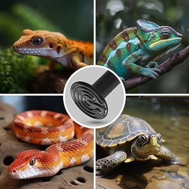 Ceramic Heat Emitter for Reptiles, 2 Pack 100W Heat Lamp Bulb, E26 Ceramic Reptile Heat Bulb Black, No Light Emitting Heat Lamp for Amphibian Pet, Heat Bulb for Bearded Dragon Turtle Snake Lizard - Image 7