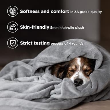 Bedsure GentleSoft Fleece Bed Blankets Queen Size Grey - Soft Lightweight Plush Fuzzy Cozy Luxury Fall Blanket Microfiber, Room Home Decor Gifts for Women and Men, 90x90 inches - Image 4