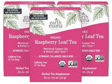 Earth Mama Organic Raspberry Leaf Tea Bags | Labor Tonic & Menstrual Support Herbal Tea, Red Raspberry Leaf Tea for Pregnancy & Postpartum Care Recovery, Caffeine Free Tea, Non GMO, (16 Teabags, 3-Pk) - Image 1
