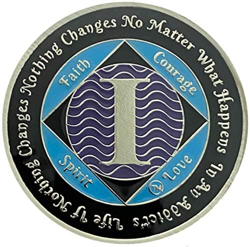 1 Year NA Silver Color Plated Recovery Medallion, Narcotics Anonymous Clean Time Coin - Image 1
