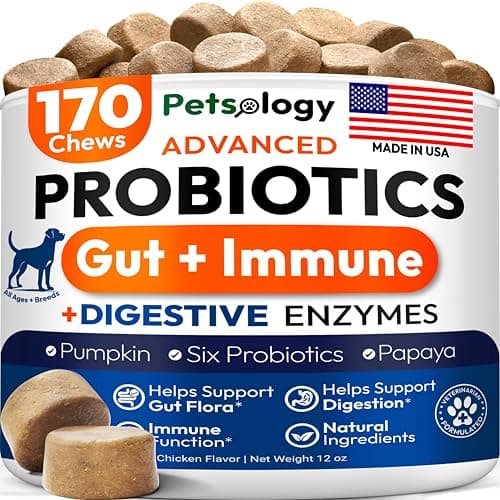 Probiotics for Dogs - 170 Dog Probiotics Chews - Digestive Enzymes & Prebiotics - Support Gut Health, Diarrhea, Gas & Constipation Relief - Itchy Skin, Allergies, Yeast Balance - Advanced Supplement - Image 1