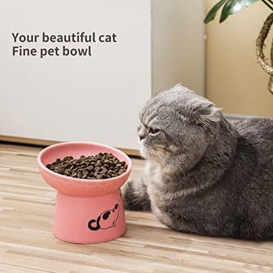 TAMAYKIM Tilted Ceramic Raised Cat Bowls, 8 OZ Food and Water Bowls Set for Kitty, 5 in Porcelain Elevated Stress Free Feeding Pet Dish, Dishwasher and Microwave Safe (White & Pink) - Image 5