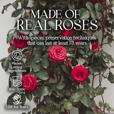 GLAMOUR BOUTIQUE Preserved Roses in a Box - Gifts for Her, Wife & Mom, Rose Flowers Forever Decor for Birthday Gift, Get Well Flower Bouquet Cased in White Box with Cover - Red - 16-Piece - Image 4