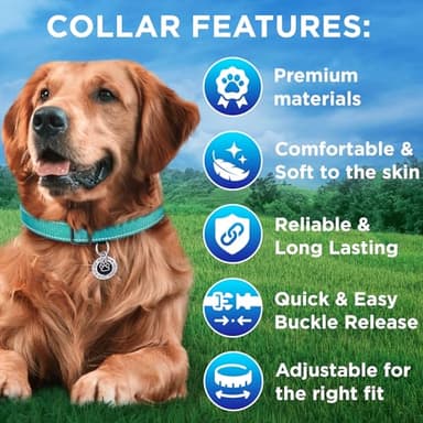 TECEUM Reflective Dog Collar – Teal – S – Basic Nylon Pet Collar – Quick Release Buckle – Fits Small, Medium and Large Dogs, Puppies, Cats – ESA & Service Dog Options - Image 3