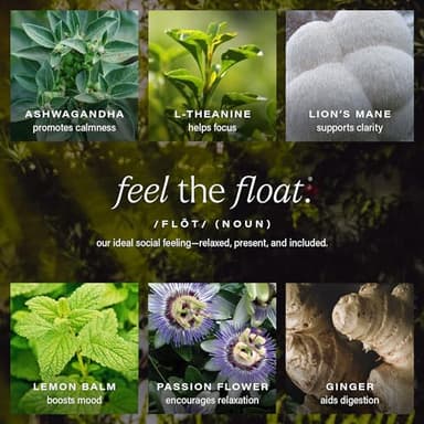 Hiyo Organic Social Tonic – Variety Pack, 12 Pack - N.A. Functional Seltzer, Sparkling Water Crafted with Organic Adaptogens, Nootropics & Botanicals - Image 4