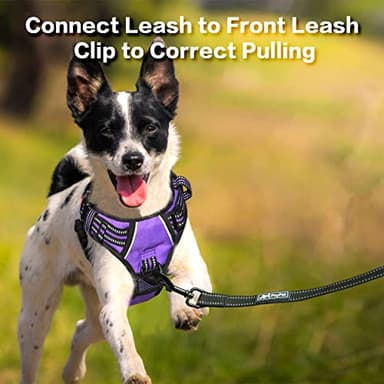 PoyPet No Pull Dog Harness, No Choke Front Clip Reflective Dog Vest with Soft Padded Vertical Handle, 3 Leash Attachments for Small Medium Large Dogs (Purple,XL) - Image 5
