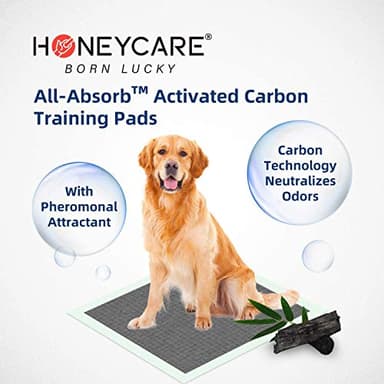 HONEY CARE All-Absorb Puppy Training Pads | Doggie Potty Pads Absorb Eliminating Urine Odor, Ultra Charcoal Dog Pee Pad (Carbon, L 22x23 inch, 100ct) - Image 3