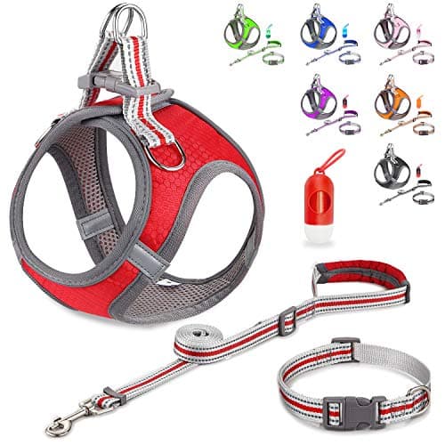 JSXD Dog Harness, Adjustable Leash and Collar Set, Step-in Harness, 3M Reflective Pet Vest for Small, Medium Puppies - Image 1
