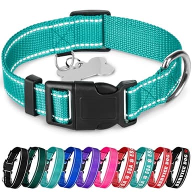 TECEUM Reflective Dog Collar – Teal – S – Basic Nylon Pet Collar – Quick Release Buckle – Fits Small, Medium and Large Dogs, Puppies, Cats – ESA & Service Dog Options - Image 1