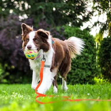 Wolfone 40ft Orange Long Leash - Waterproof Training Dog Leash for Recall, Swimming, Camping, Beach, Hunting, Walking - Image 4
