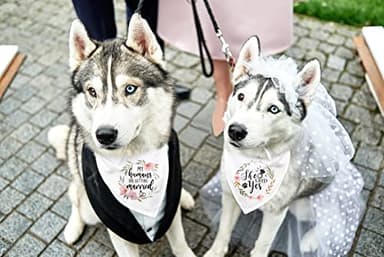 Cgvovgr Dog Bandana, 100% Cotton, Breathable, White, Medium-Large, 2-Pack, for Wedding & Engagement - Image 5