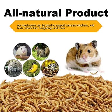 LuckyQworms 20lbs Mealworms, High-Protein Dried Mealworms for Birds, Chickens, Turtles, Fish, Hamsters and Hedgehogs, Non-GMO and Chemical Free, All Natural Animal Feed - Image 5
