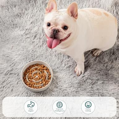 vancasso Slow Feeder Dog Bowl, 0.6 Cups Ceramic Dog Food Dish for Fast Eaters Small Breed, Puzzle Bowl for Small Dogs and Cats, Light Gray - Image 5