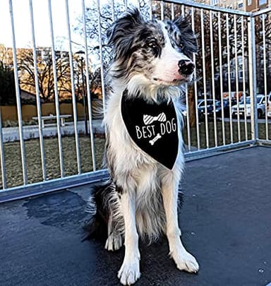 Family Kitchen Best Dog Wedding Black Pet Bandana, Bridal Party Dog Bandana, Wedding Photo Prop, Pet Scarf Accessories - Image 3