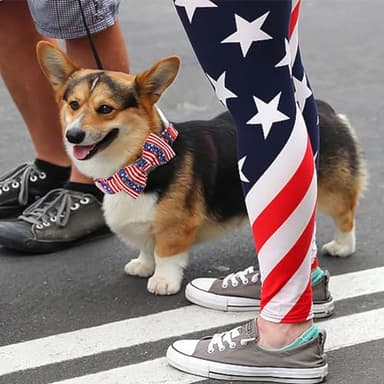 Elegant little tail Independence Dog Collar, Holiday Pet Collar with Bow Dog Durable Patriotic Dog Collars Pet Gift Adjustable Dog Collar for X-Small Dogs - Image 5