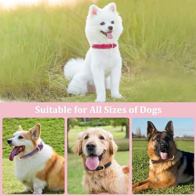 HSIGIO Leather Dog Collar for Small Medium and Large Dogs, Soft Padded Dog Leather Collar with Gold Buckle, Adjustable Genuine Leather Collars for Small Dogs(Hotpink, S) - Image 6