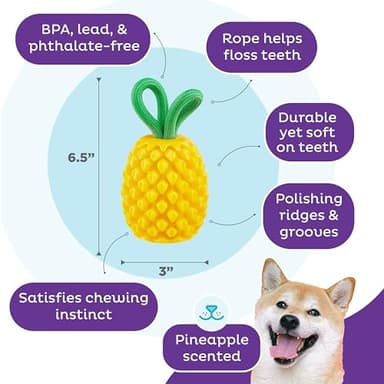 Outward Hound by Planet Dog Dental Pineapple Dental Chew Toy and Interactive Treat Stuffer Durable Dog Toy Stuffable Dog Toy, Yellow - Image 3
