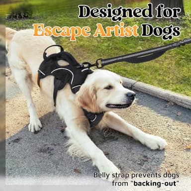 rabbitgoo Escape Proof Dog Harness, Soft Padded Full Body Pet Harness, Reflective Adjustable No Pull Vest with Lift Handle and Leash Clip for Large Dogs Walking Hiking Training, M, Black - Image 3